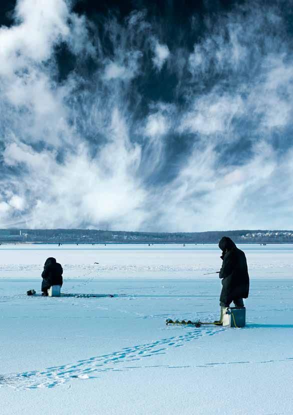 JAKT, FISKE OG GRUNNEIERRETTEN Grunneier har enerett til jakt, fangst og fiske på egen eiendom, uavhengig om det er en privat eller offentlig grunneier vi snakker om.