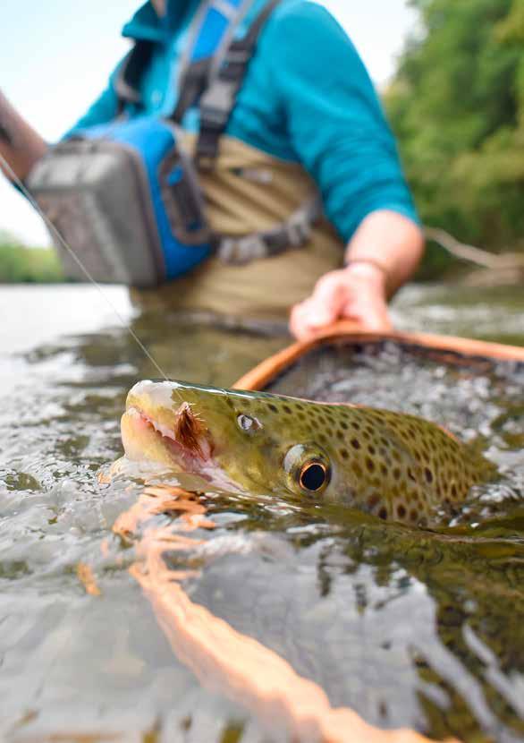 JAKT OG FISKE PÅ FINNMARKS- EIENDOMMEN Finnmarkseiendommen er grunneier og administrerer jakt og fiske på det som tidligere var statsgrunn i Finnmark, det vi si 95 % av grunnen i Finnmark.