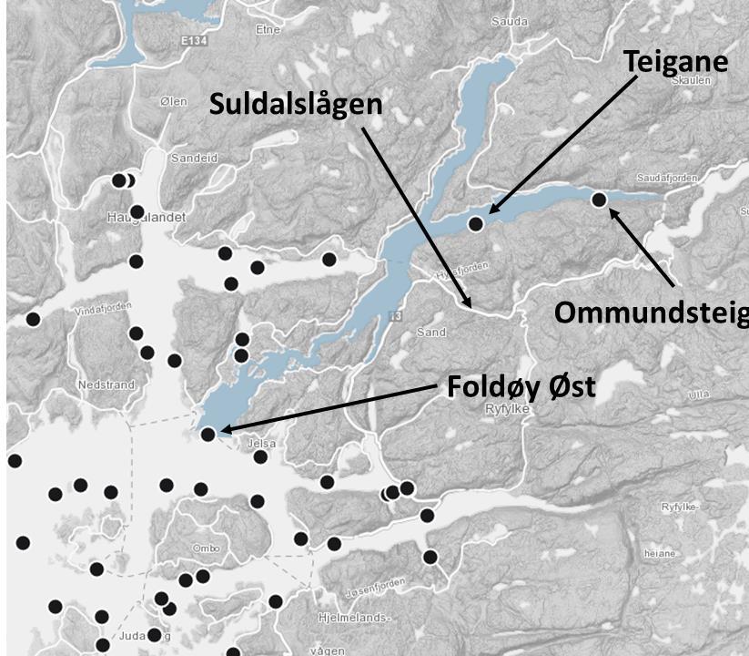 RAPPORT Grieg Seafood Rogaland AS Flytting av