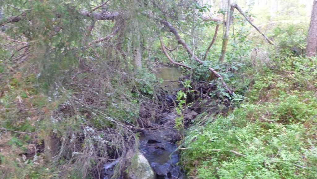 Noen mindre bekker renner gjennom planområdet. Det dreier seg om svært små vannforekomster som drenerer mot Fiskumelva i nordøst.