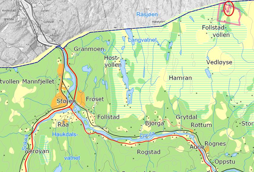Figur 1 Oversiktskart over deler av Midtre Gauldal kommune. Det aktuelle planområdet er markert med rød sirkel.