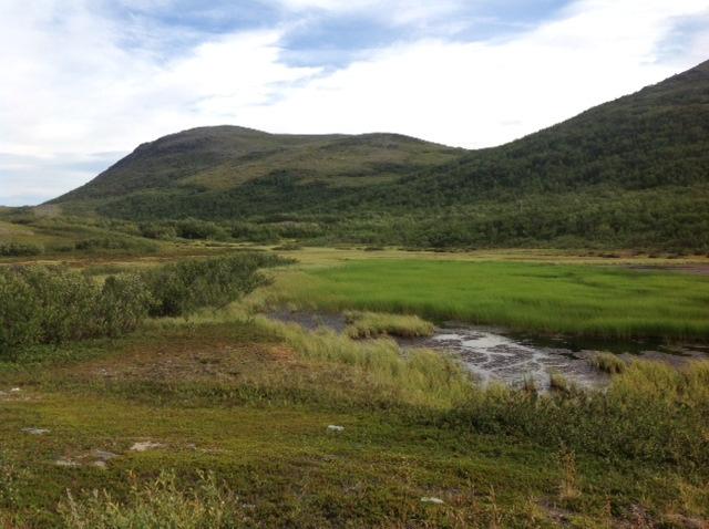 Finnmark er grunnlagt på at kongekrabbe skal forvaltes som en fornybar ressurs, at denne derfor er kvotebelagt og kan utnyttes i kommersielt fiske.