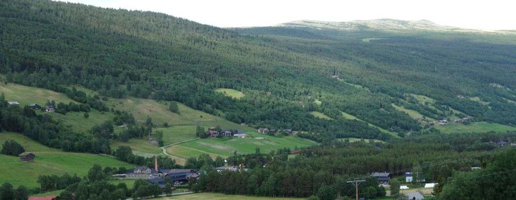 Nedste lia Dalbotnen i Heidal vekslar mellom u-form og v-form i fleire etasjar til dalen munnar ut i Gudbrandsdalen ved Sjoa.