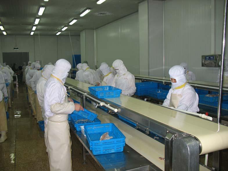 Omstilling Næringen i Kina har historisk hatt et noe «frynsete» rennommé, både i eksportmarkeder og i hjemmemarkedet.