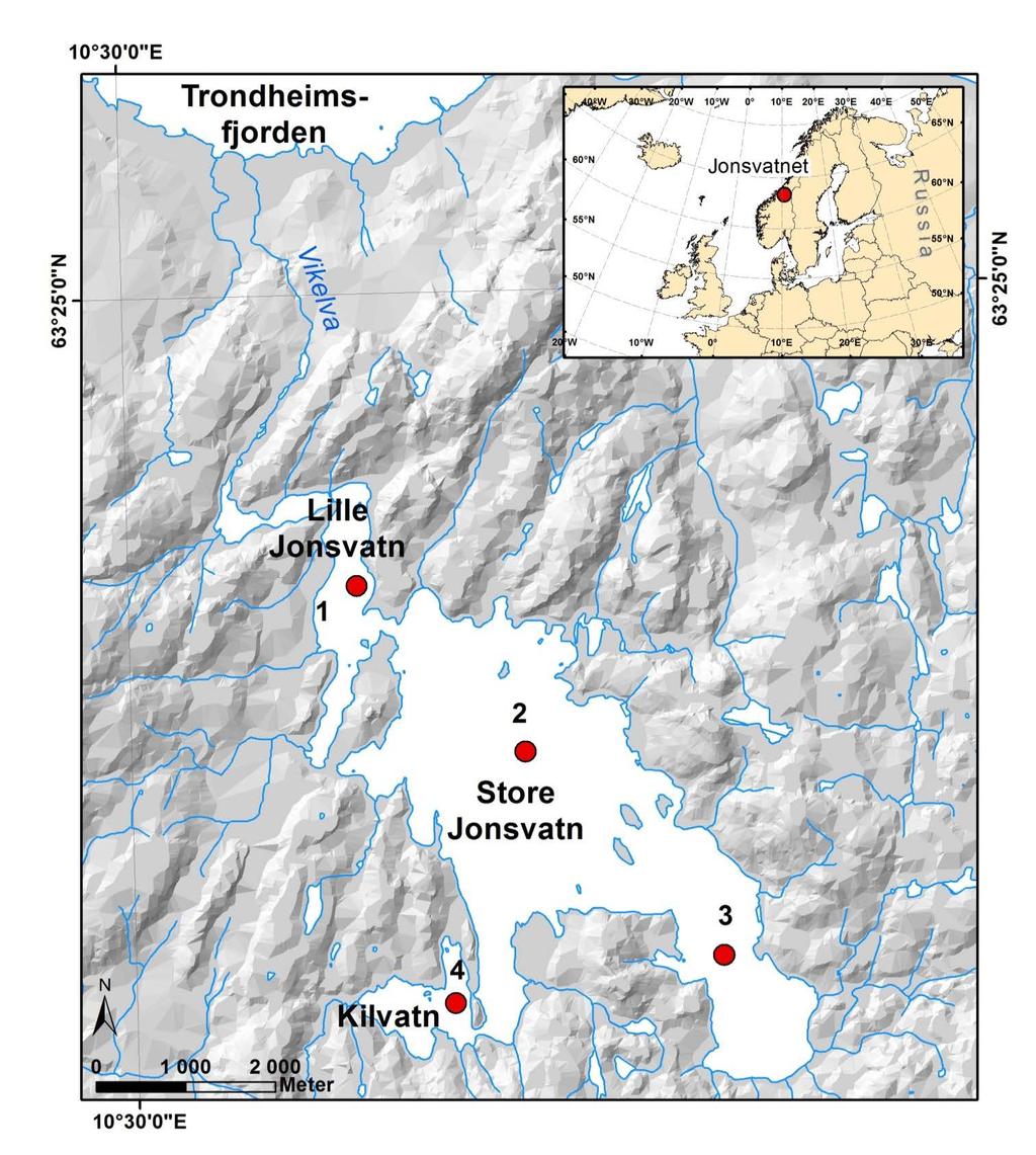 LOKALITETSBESKRIVELSE Jonsvatnet (63 22 N, 10 37 E) ligger 150 m o.h., ca. 10 km sørøst for Trondheim sentrum (figur 3).