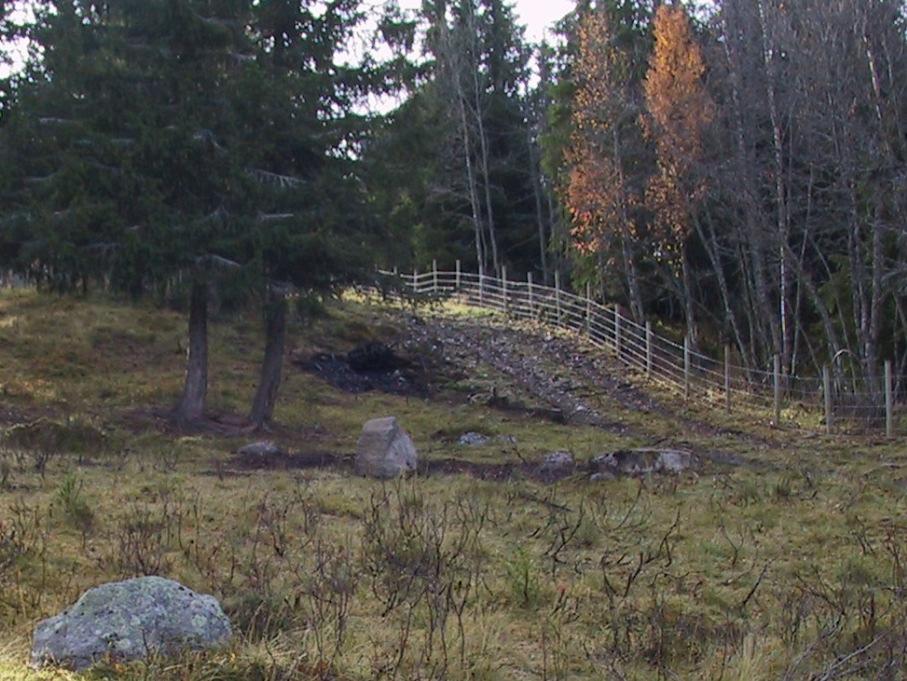 Nytt regelverk for investeringstilskudd Fra «organisert beitebruk» til «tiltak i beiteområder» (også enkeltforetak kan være berettiget der det ikke ligger til rette for samarbeid) Minst 5 uker på