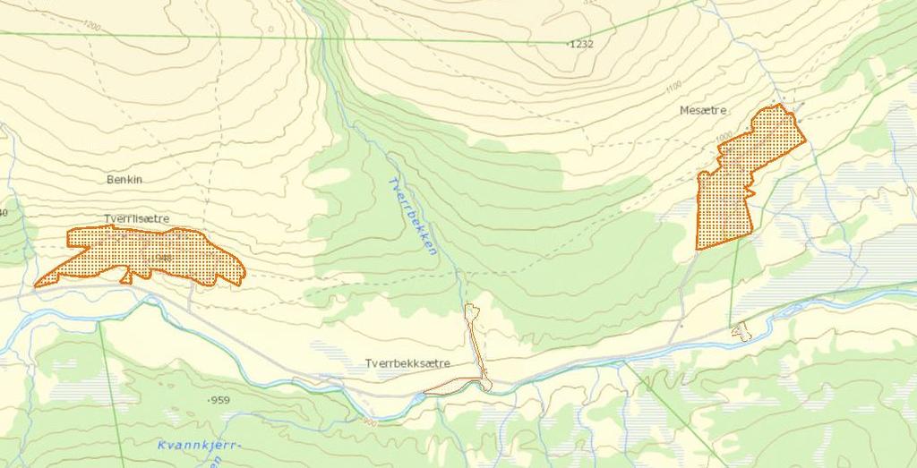 tiltaksplan for beitelaget Skjøtsel må holde gjengroingen tilbake og ikke føre til for mye tråkk/slitasje Enkeltforetak kan få