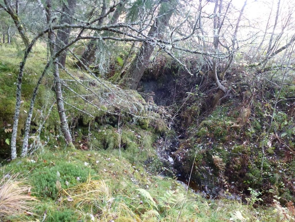 Foto 3: Erosjon i sidebekk 1 i østre