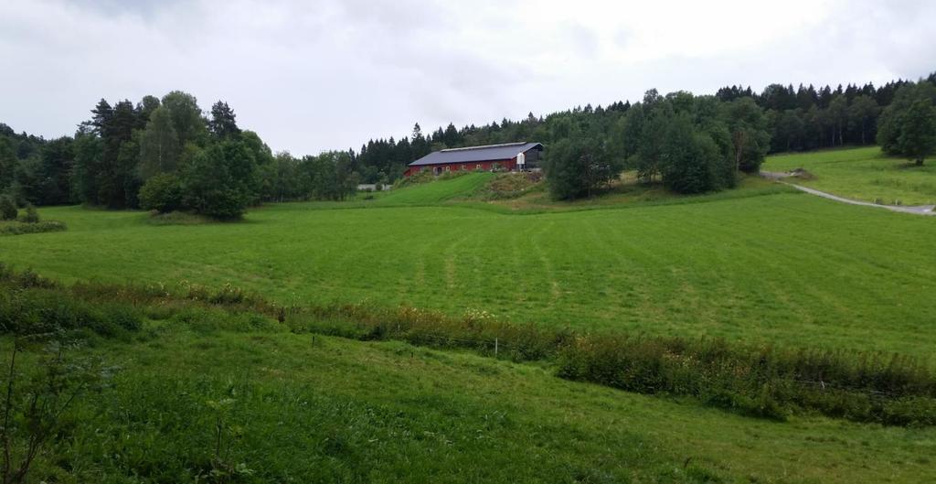 4. Versvika Rød - Grava - Kjørholt Kulturlandskap på Rød. Jordbrukslandskapet med beliggenhet hovedsakelig vest for E18 fra Versvika i nord til Kjørholt i sør er rikt på naturverdier og kulturminner.