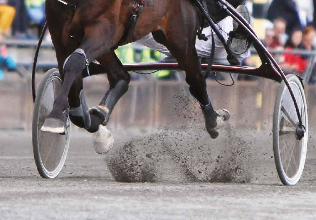 Bjerke mandag 24. juli V5 Tre mulige bankere Av Øyvind A. Brusletten oyvind@stallskriket.no Vi spiller flatt som Danmark på det største forslaget vårt, altså uten bankere.