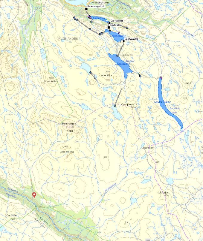 Reisaelva beskrives som en typisk flomelv (Berg 1964), og mens vannføringer mellom -200 m 3 /s er vanlige i juni kan vannføringen være så lav som 1-6 m 3 /s i mars/april (Saltveit mfl. 1998).