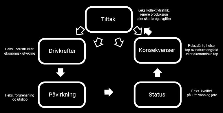 Foto: Dare Ferjan, Environment & Me /EEA Miljøstatus.no samler informasjon om hvordan miljøets tilstand utvikler seg i Norge.