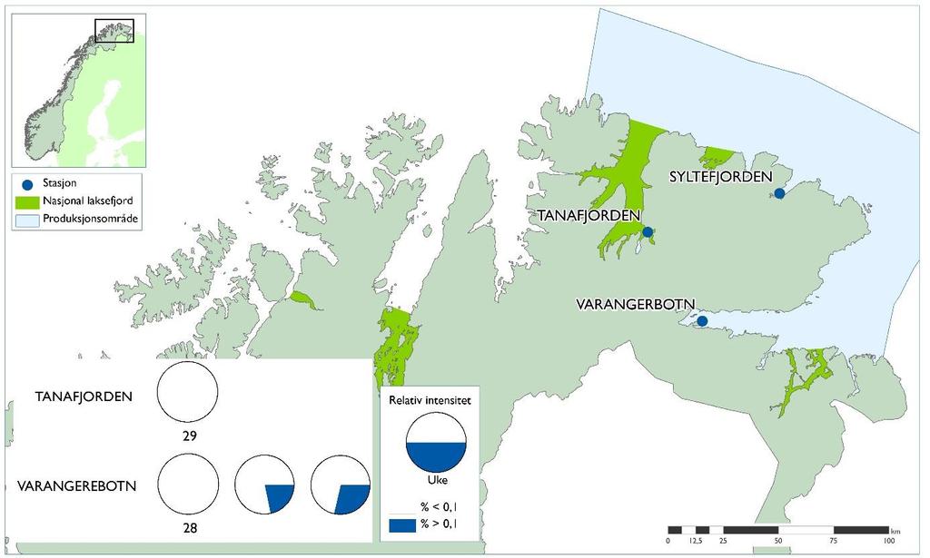 Tabell 13. Resultater for Finnmark Øst. N viser totalt antall undersøkte individer, Vekt er oppgitt i gram med største og minste verdi i parentes (range).