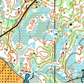 Langdistanse lørdag 19. august Terrenget på langdistansen er myrlendt med god løpbarhet og sikt. Myrene er faste og relativt lettløpte. Kartet er i målestokk 1:10.