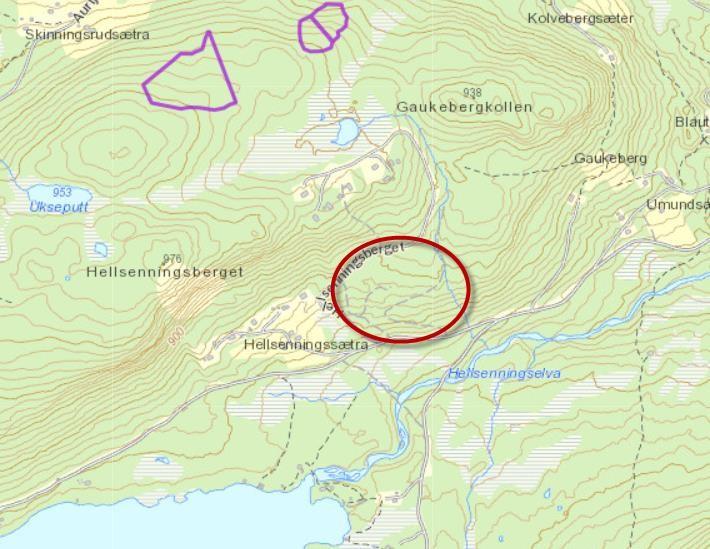 PLANBESKRIVELSE 21 Utsnitt av kart fra Miljødirektoratets naturdatabase. I området finnes ingen utvalgte naturtyper innenfor planområdet.