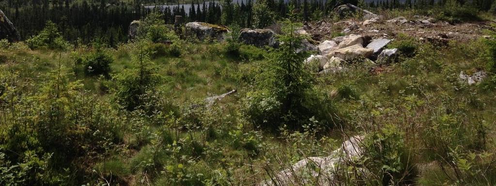 Trafikkforhold Planområdet har atkomst via en mindre atkomstveg som har sitt utspring i Hellsenningsvegen via Søbekksetervegen.