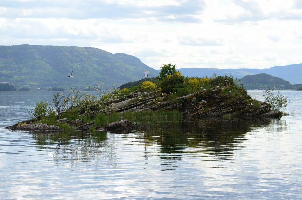 Østbråtaskjæret nordvest i Steinsfjorden i Ringerike kommune var også i 2015 en av de viktigste hekkeholmene for vannfugler i Tyrifjorden våtmarkssystem.