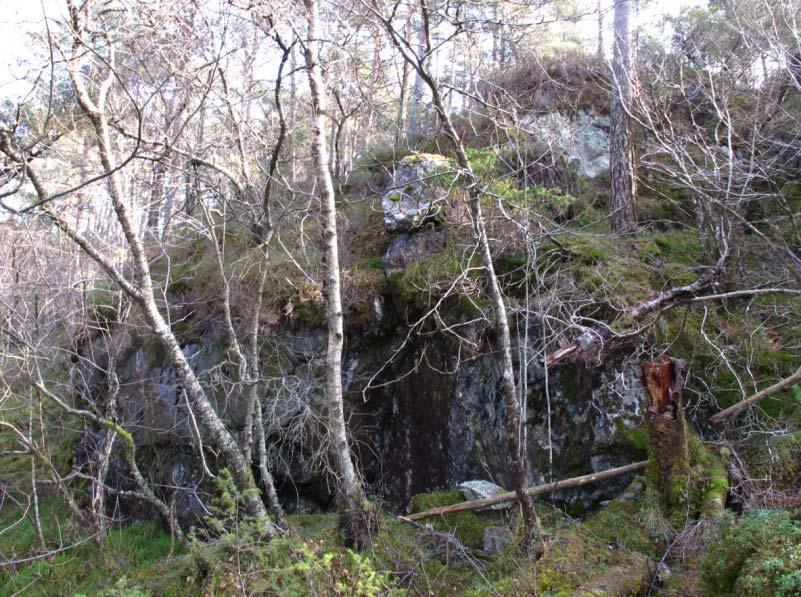 Bilde 3. Ustabilt berg og usikre bergblokker (se pil) helt vest i reguleringsplanområdet.