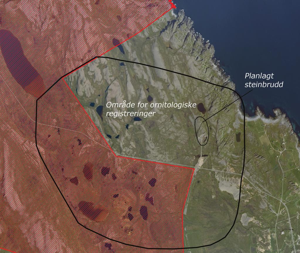 Ornitologiske registreringer på deler av Grøhøgdmyra og Barvikmyra og Blodskyttsodden naturreservat 2012