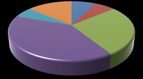 Tema 6 % 14 % 8 % 6 % 27 % 3 % 7 % 8 % 9 % Organisasjon 39 % 20 % Økonomi Pasientbehandling April 2009 53 % Fagområder Forskning/