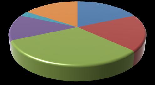 Tema 3 % 16 % 13 % 18 % 18 % 2 % 14 % 21 % 19 % Organisasjon 9 % Økonomi Pasientbehandling 32 % April 2009