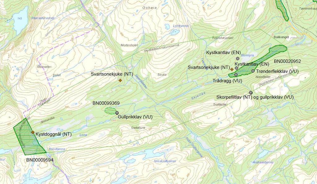 Figur 4. Skjellådalen naturreservat med registreringer av naturtyper og rødlistearter.
