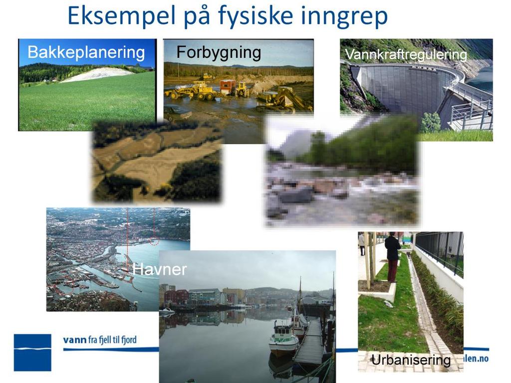 Oppdemming av elver (vandringshinder) Regulering av innsjøer og elver Endringer i vannføring Endring i isforhold (islegging) Kanalisering