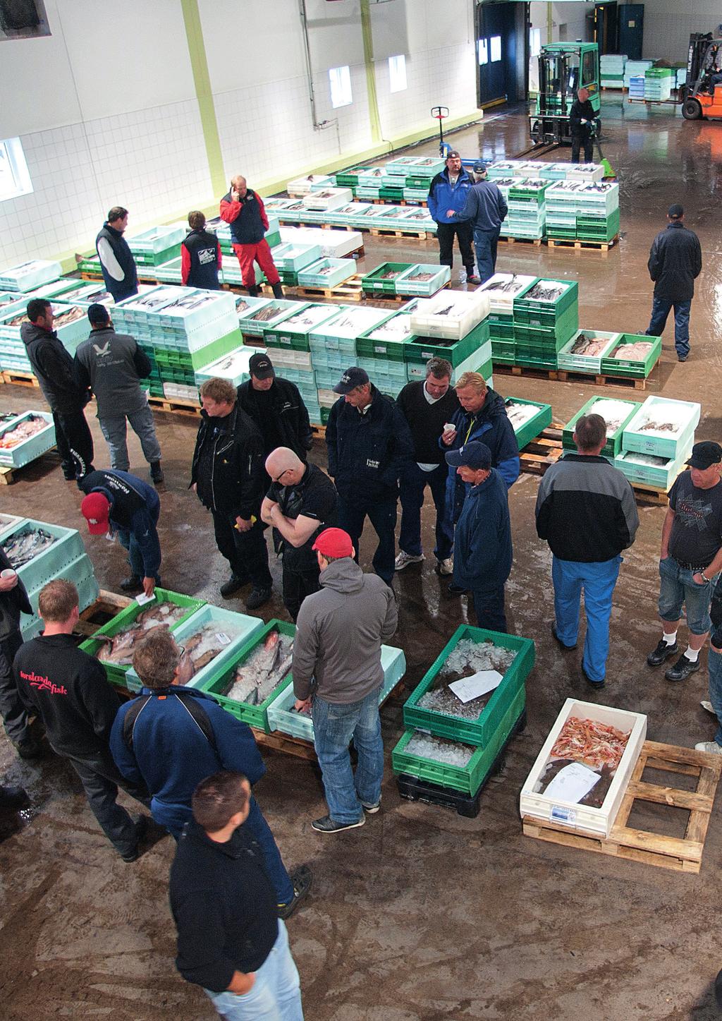 REPORTASJE / FISK REPORTASJE / FISK På besøk i fiskehavnen. 22 Gjennom historien har fisk vært en av Sveriges viktigste basismatvarer, og landet er bortskjemt med en lang kystlinje.