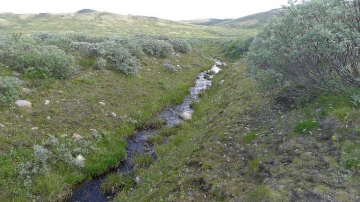 Fjerning av grøfta førte til at opprinnelig vannveger inn mot Stormyra ble restaurert.