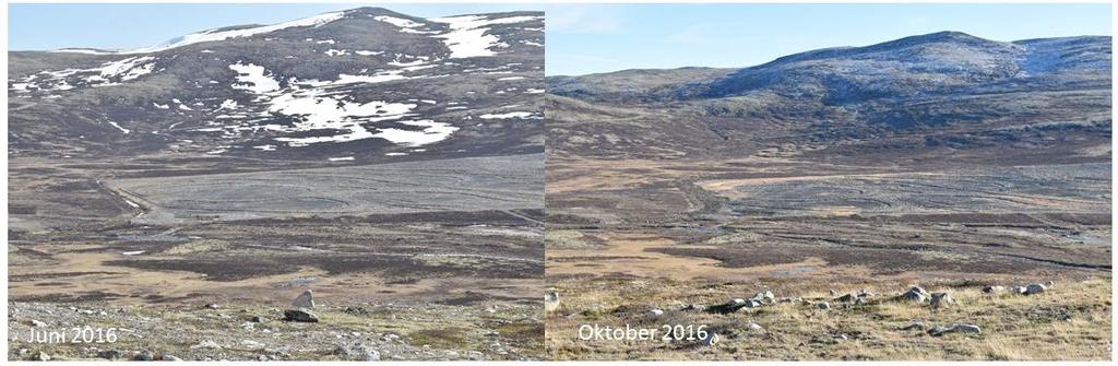 Figur 6 HFK-sletta sett fra høgda ovenfor Rollstadsetra før grøfta ble fjerna (juni 2016, venstre) og etter