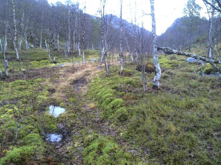 2 Treklopper 35 meter område Forsterkning- hindre videre slitasje Materialkostnad Kr