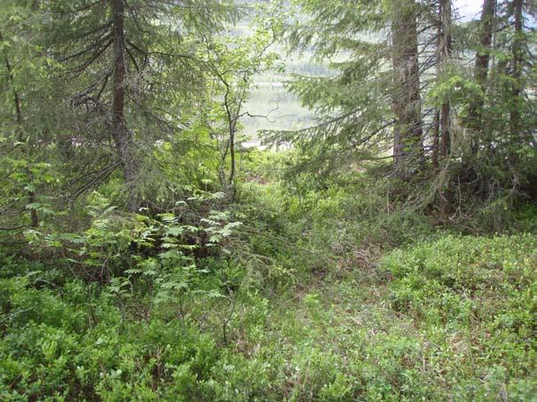 Figur 23: ID 127940. Lokaliteten strekker seg 5-6 meter bakover fra steinlegging ID 127939 - LØSFUNN Helt ytterst på sandtangen helt sør i planområdet ble det gjort funn av et flintavslag i sanden.