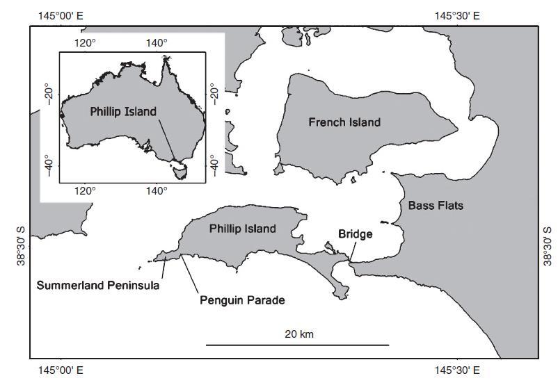 Phillip Island, Australia (Kirkwood et al.