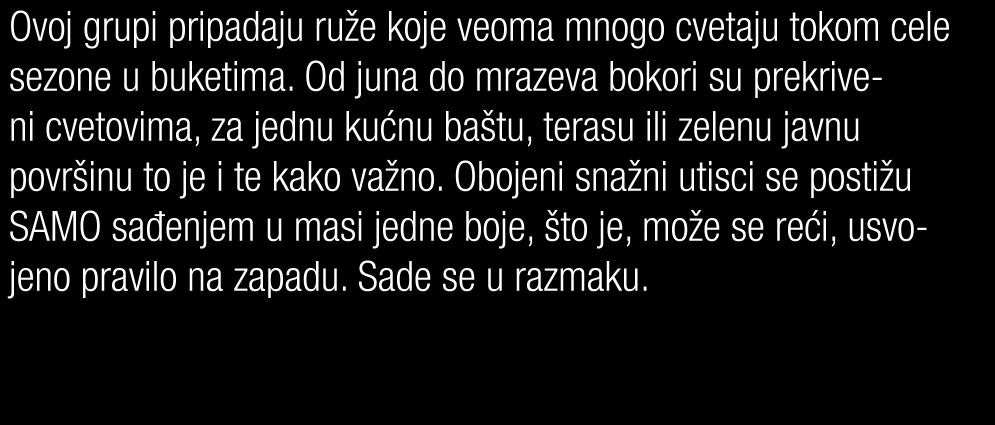 Obojeni snažni utisci se postižu SAMO sađenjem u masi jedne boje, što je, može se reći, usvojeno pravilo na zapadu. Sade se u razmaku.