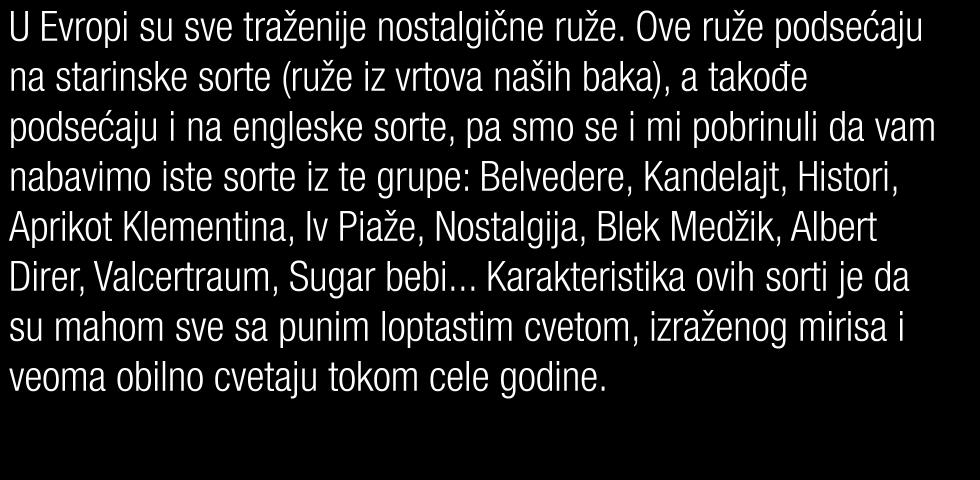 Histori, Aprikot Klementina, Iv Piaže, Nostalgija, Blek Medžik, Albert Direr, Valcertraum, Sugar bebi.