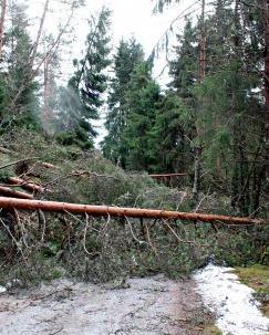 framkomelegheit medførte forseinkingar