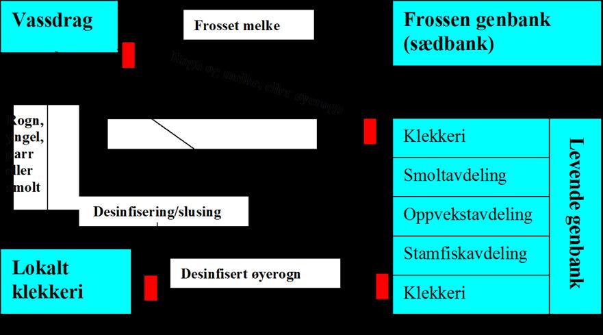 Genbankbaserte