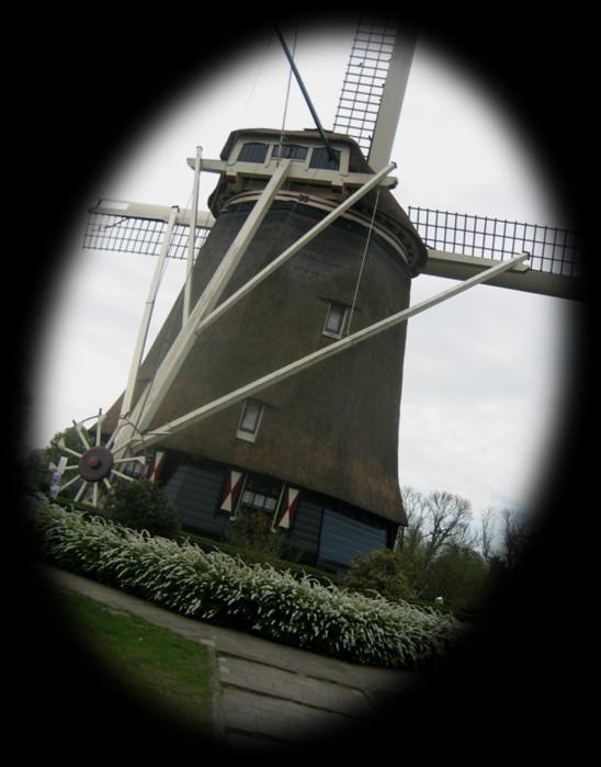 Holland har også mye annet å by på. Vi har valgt å bo på Tulip inn Media Park Hilversum. Hilversum er en by i provinsen Nord-Holland.