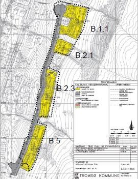 Figur 4: bebyggelsesplan 1655. Felt B1.1, 2.1 og B5 ønskes endret. Hovedinnhold Bebyggelsesstruktur: Feltene B1.1 og 2.