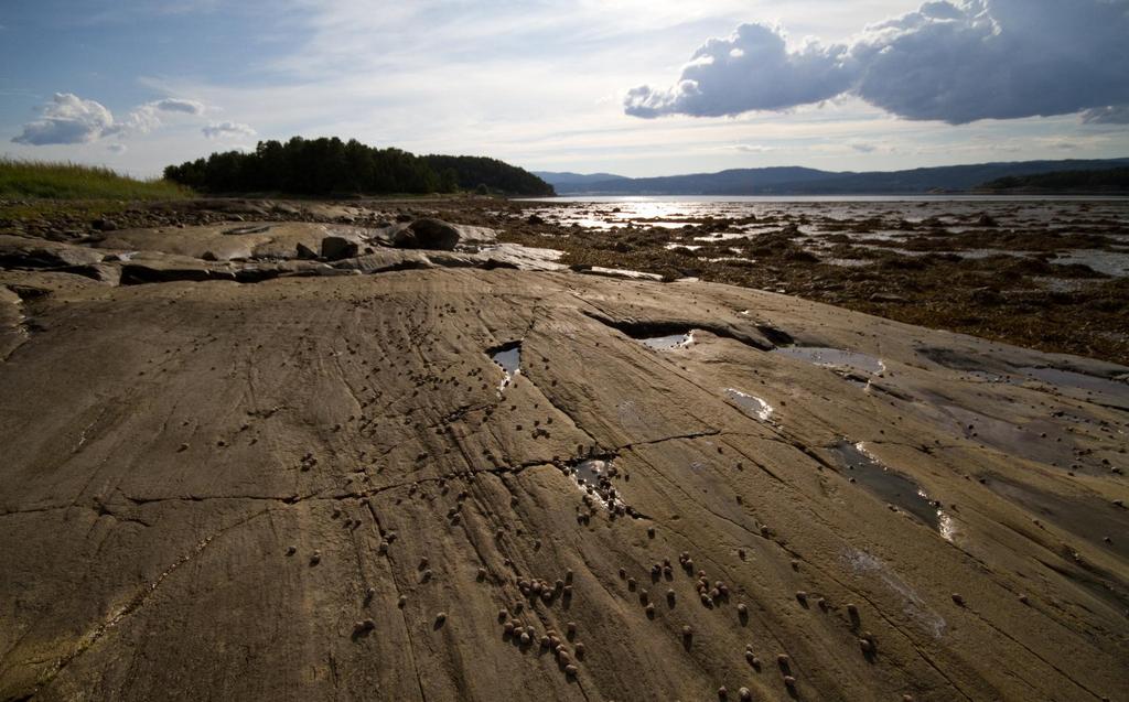 Arbeidsverksted - strandsonen Hoøya, Steinkjer 1.