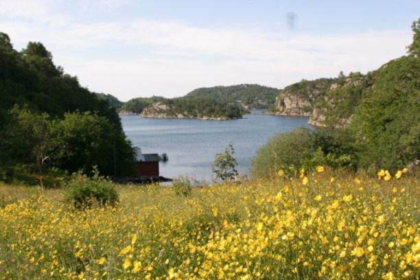 Naturmangfoldloven og strandsonen Krav til kunnskap om naturmangfoldet og