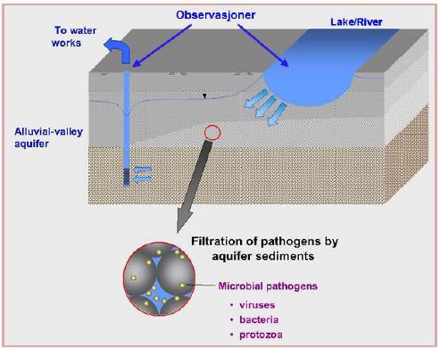 Hygienisk barriereeffekt Observasjoner Landside water NOM Turbidity Barriereeffekten måles ved å