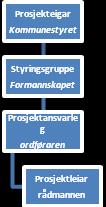 10 av 22 Kommunestyret tek avgjerd etter kvar fase og gir oppdrag for neste fase. Arbeidet vert organisert som eit prosjekt etter slik modell. Det kan nyttast ekstern bistand der det er turvande.