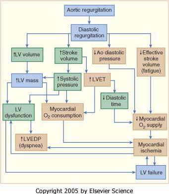 Aortainsuffisiens -