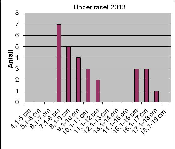 På de nedre stasjonene ligger mesteparten av årsyngel i størrelsesintervallet 6-8 cm.