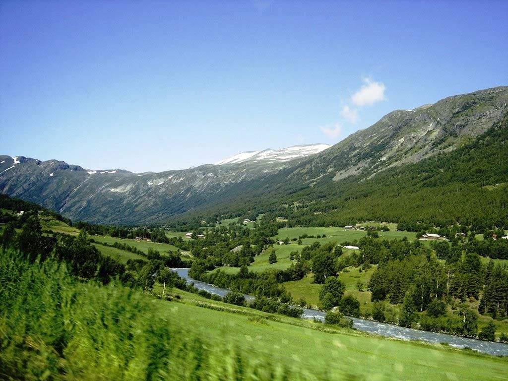 Kalkrike områder i fjellet viktig bl.a. for kalkkrevende fjellvegetasjon Øvre deler av Bøverdalen har en del