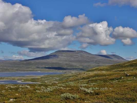 Spesielle naturtyper i de kontinentale områdene i Lom og Skjåk er først og fremst kalkrike berg, kontinentale tørrenger