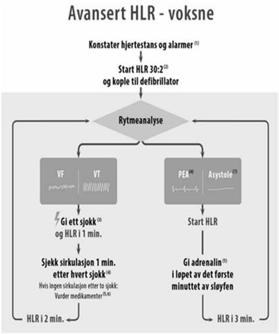 Medikamenter ved ikke-sjokkbar rytme Første dose adrenalin (1 mg) kan gis allerede i løpet av det første minuttet i den aller første sløyfen.