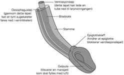 Luftveishåndtering Endotrakeal intubasjon bør bare utføres av personell med anestesikompetanse - i praksis anestesipersonell. Supraglottisk intubasjon (f.eks. igel) bør beherskes av.