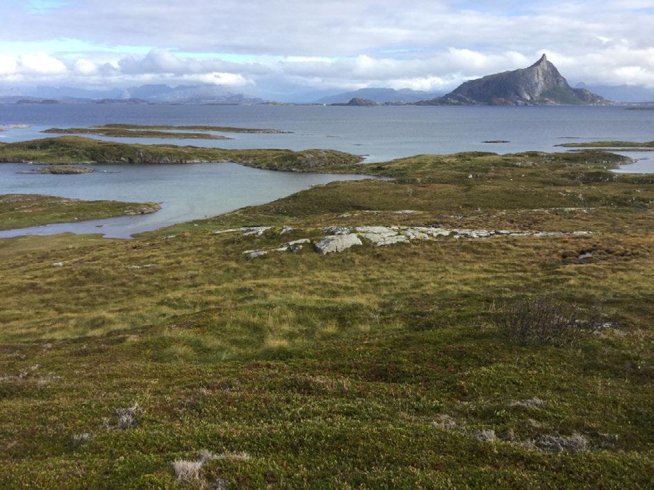 Foto: Pål Alvereng Figur 24 Utskagen, halvøya som vises i øvre del av